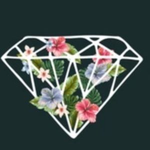 Meet your Posher, Diamond